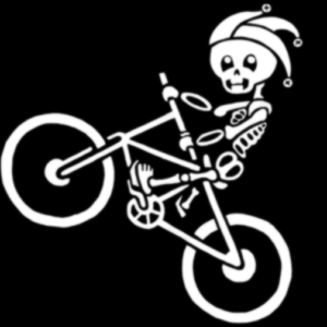 ridethisbike.com